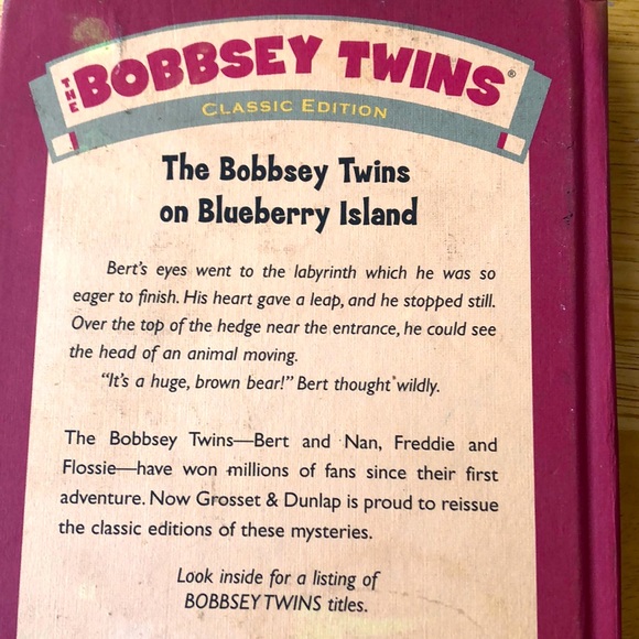 BOBBSEY TWINS #10 THE BOBBSEY TWINS ON BLUEBERRY ISLAND 🫐🏝️ by Laura Lee Hope - Picture 4 of 5